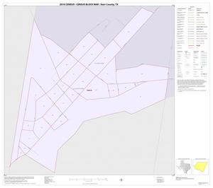 2010 Census County Block Map: Starr County, Inset J01