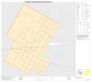 2010 Census County Block Map: Gonzales County, Inset E01