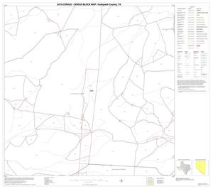 2010 Census County Block Map: Hudspeth County, Block 13
