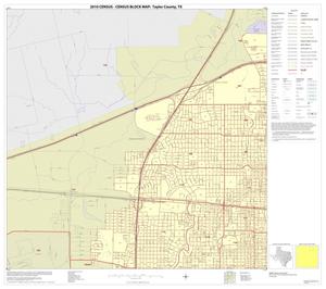 2010 Census County Block Map: Taylor County, Inset E01
