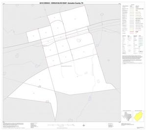 2010 Census County Block Map: Gonzales County, Inset A01