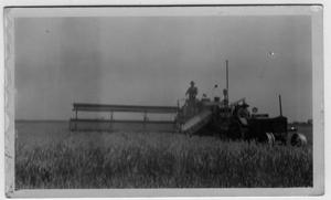 [Harvesting wheat on Hamlyn Morgan Farm, east of Lewisville]
