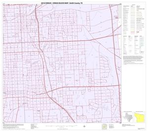 2010 Census County Block Map: Smith County, Inset B04