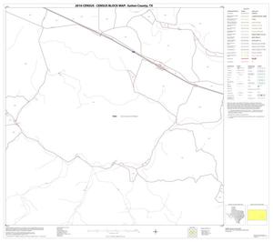 2010 Census County Block Map: Sutton County, Block 17