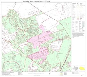 2010 Census County Block Map: Williamson County, Block 17