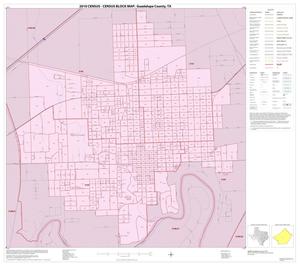 2010 Census County Block Map: Guadalupe County, Inset G01