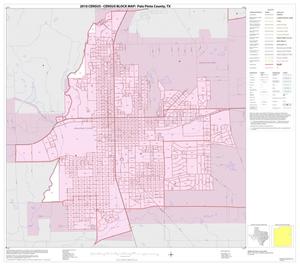 2010 Census County Block Map: Palo Pinto County, Inset B01