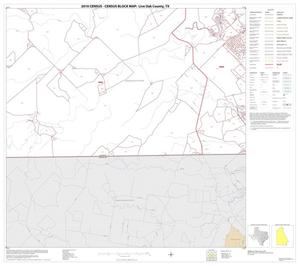 Primary view of object titled '2010 Census County Block Map: Live Oak County, Block 19'.