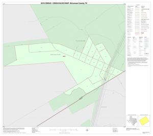 2010 Census County Block Map: McLennan County, Inset R01