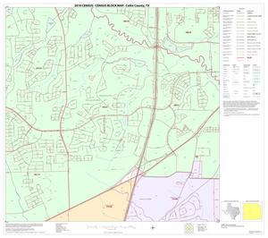 2010 Census County Block Map: Collin County, Block 53