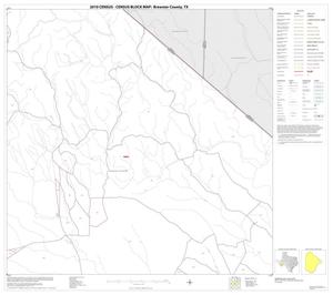 2010 Census County Block Map: Brewster County, Block 41