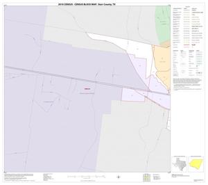 2010 Census County Block Map: Starr County, Inset C01