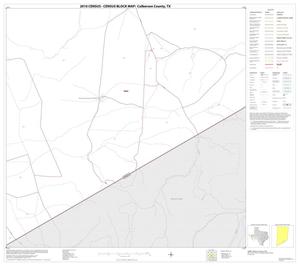 2010 Census County Block Map: Culberson County, Block 46