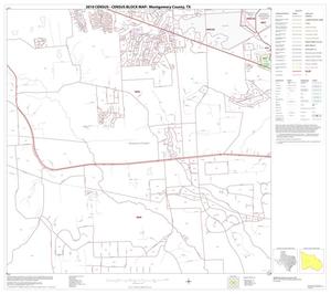 2010 Census County Block Map: Montgomery County, Block 20