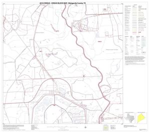 2010 Census County Block Map: Matagorda County, Block 15