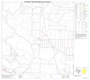 2010 Census County Block Map: Brewster County, Block 66
