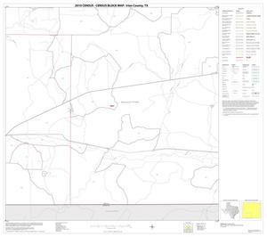 Primary view of object titled '2010 Census County Block Map: Irion County, Block 10'.