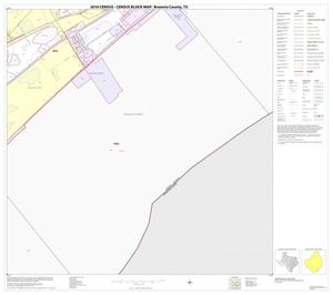 Primary view of object titled '2010 Census County Block Map: Brazoria County, Block 46'.