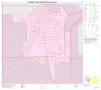 Map: 2010 Census County Block Map: Wichita County, Inset C01