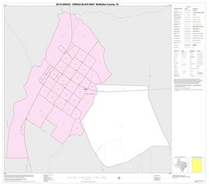 2010 Census County Block Map: McMullen County, Inset A01