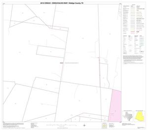 2010 Census County Block Map: Hidalgo County, Block 17