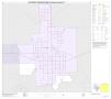 Map: 2010 Census County Block Map: Throckmorton County, Inset A01