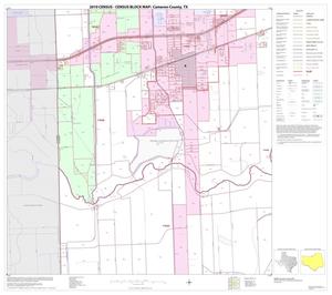 Primary view of object titled '2010 Census County Block Map: Cameron County, Block 31'.