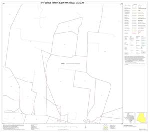 2010 Census County Block Map: Hidalgo County, Block 15