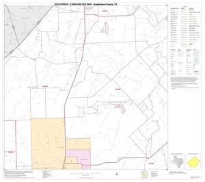2010 Census County Block Map: Guadalupe County, Block 4