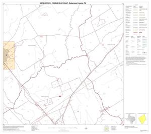 2010 Census County Block Map: Robertson County, Block 13