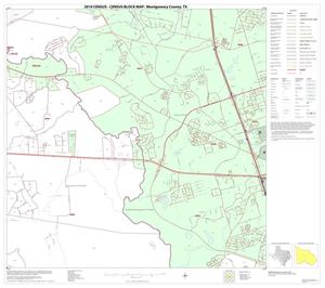 2010 Census County Block Map: Montgomery County, Block 21