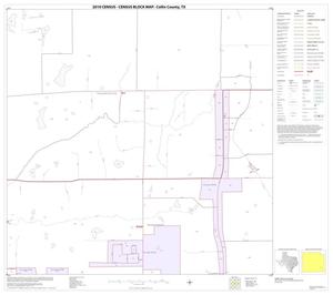 2010 Census County Block Map: Collin County, Block 79