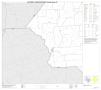 Map: 2010 Census County Block Map: Colorado County, Block 13