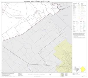 2010 Census County Block Map: Victoria County, Block 17