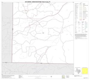 2010 Census County Block Map: Nolan County, Block 13
