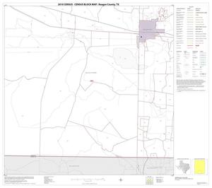 2010 Census County Block Map: Reagan County, Block 11