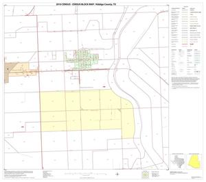 2010 Census County Block Map: Hidalgo County, Block 80