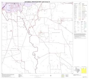 2010 Census County Block Map: Cooke County, Block 21
