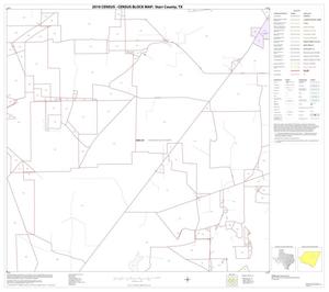 2010 Census County Block Map: Starr County, Block 11