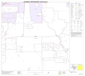 2010 Census County Block Map: Collin County, Block 35