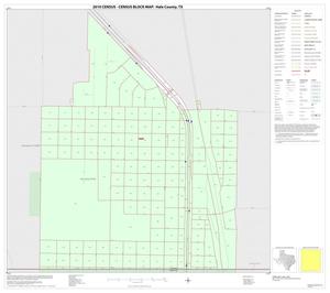2010 Census County Block Map: Hale County, Inset D01