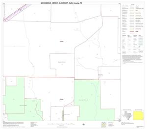 2010 Census County Block Map: Collin County, Block 91