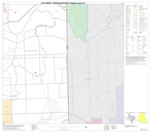 2010 Census County Block Map: Hidalgo County, Block 111