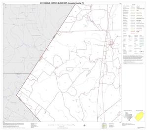 2010 Census County Block Map: Gonzales County, Block 13