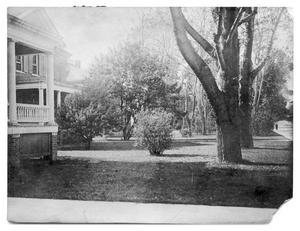 Primary view of object titled '[Yard with trees and bushes]'.