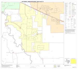 2010 Census County Block Map: Collin County, Block 55