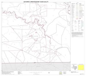 2010 Census County Block Map: Uvalde County, Block 29