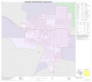 2010 Census County Block Map: Jim Hogg County, Inset A01