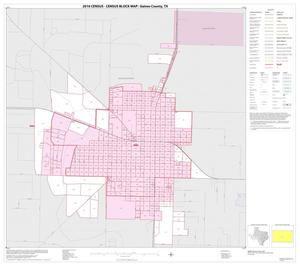 2010 Census County Block Map: Gaines County, Inset C01