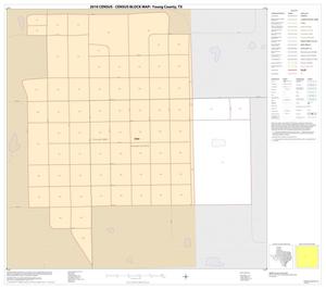 2010 Census County Block Map: Young County, Inset B01